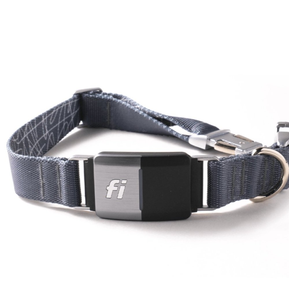 "FI" GPS dog collar Series 2